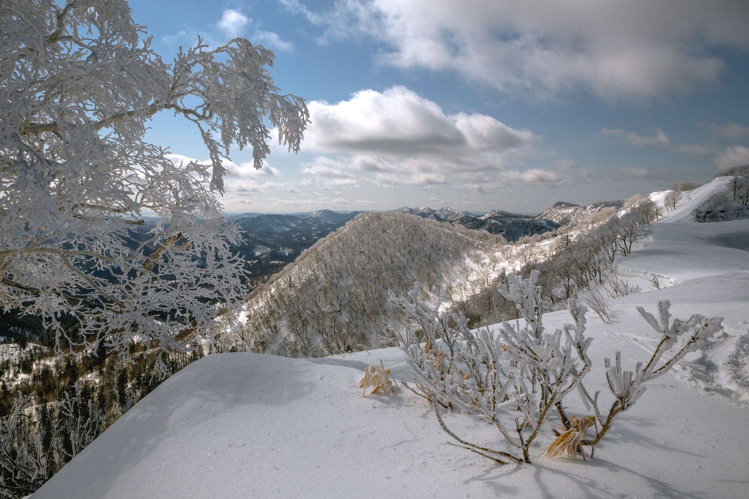 , Артем Удодов