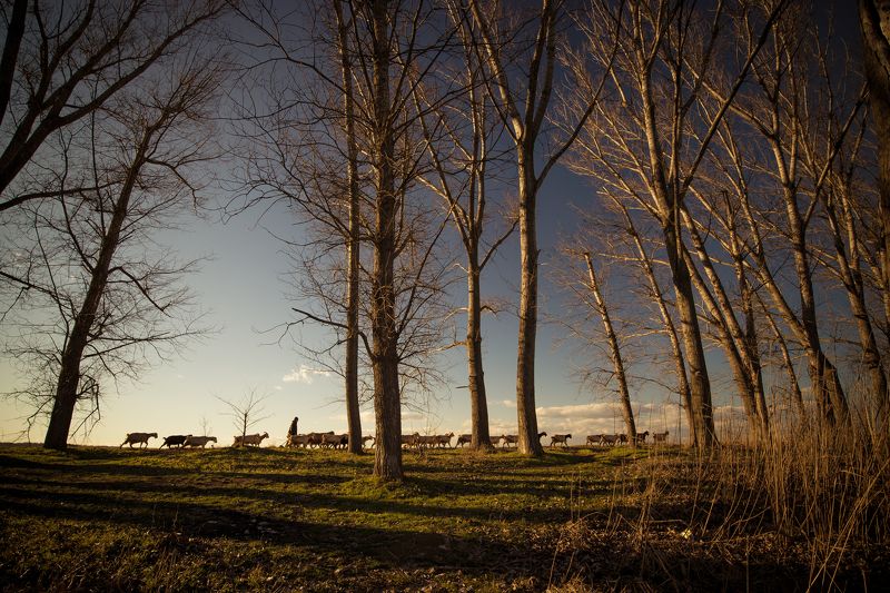 nikon d610,nikkor 18-35  photo preview