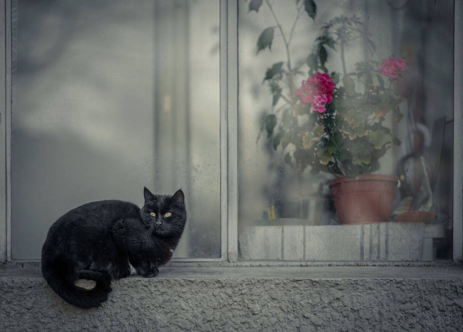 Автор: Konstantin Vladov , Konstantin Vladov