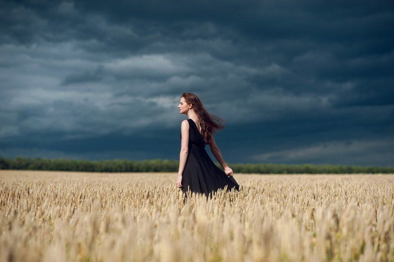 Fields of goldphoto preview