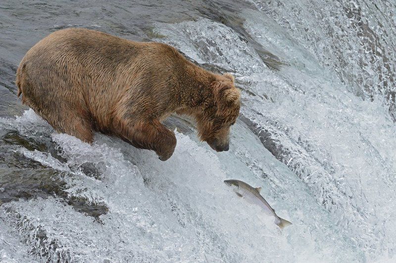 На порогахphoto preview