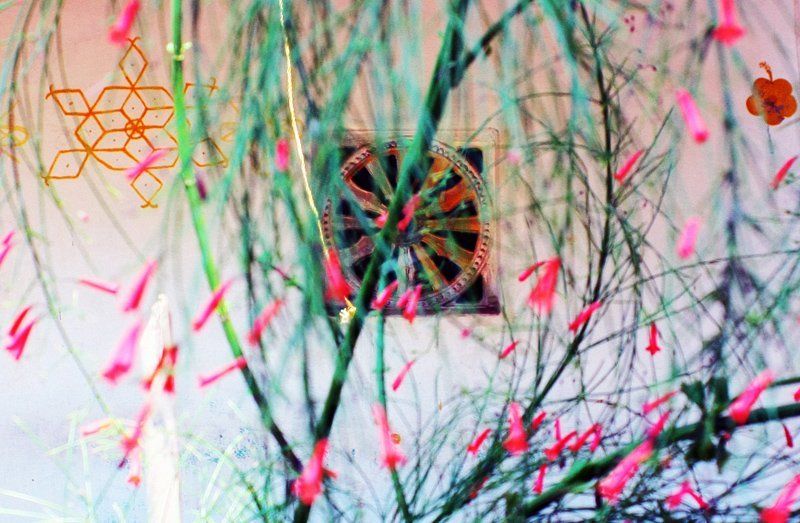 Circle,, Color,, Flowers,, India,, Metaphysics,, Индия,, Метафизика,, Окружности,, Цвет, Окружностиphoto preview