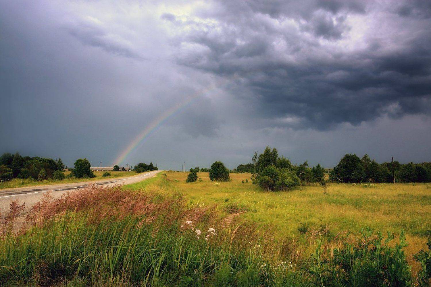 , Марина Никифорова