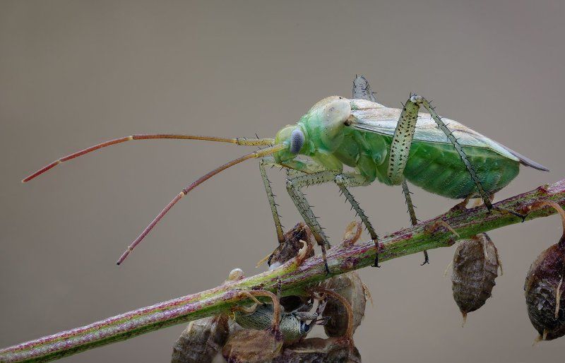 Игра в прятки со \