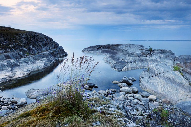 Колокольчиковая тишинаphoto preview