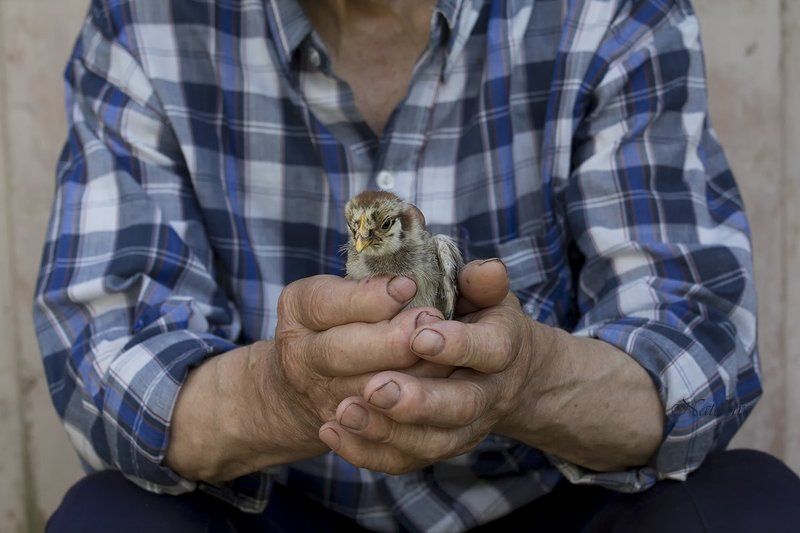 Всё в наших руках...photo preview