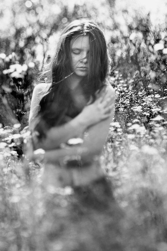 Ginger Ginger wildphoto preview