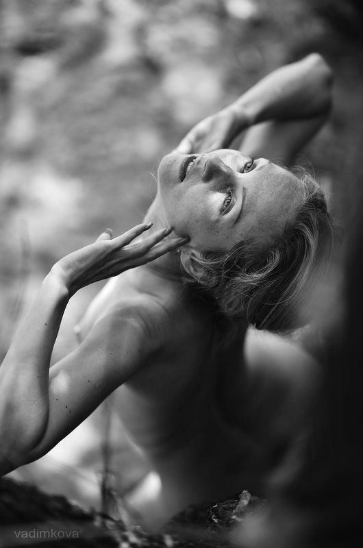 сереброphoto preview