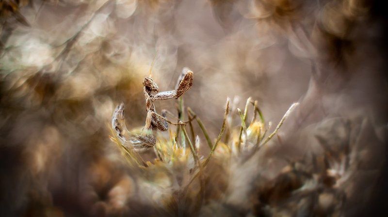 Холодное лето.photo preview