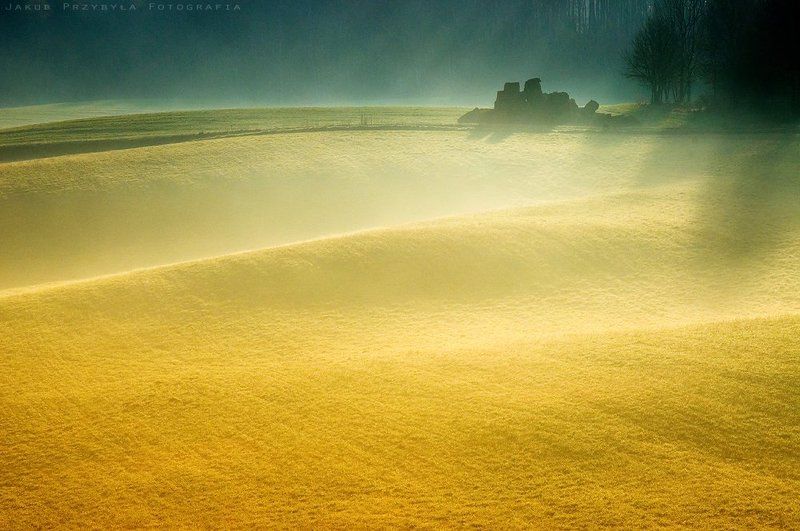 Gold sownphoto preview