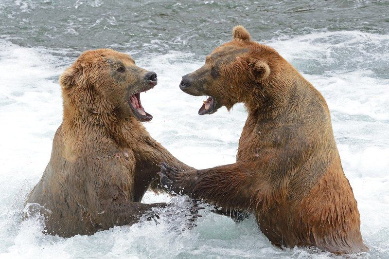 Непростой разговорphoto preview