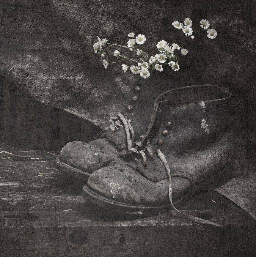 с ромашками.... Автор: Роман Ботинки, Натюрморт, Ромашки, Роман