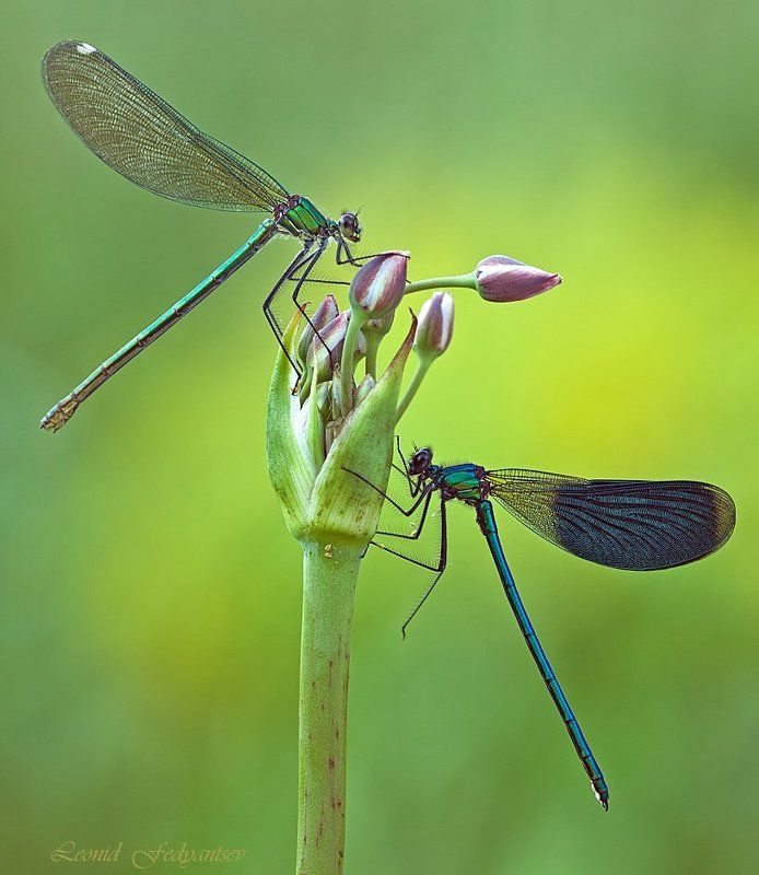 Семейный портретphoto preview