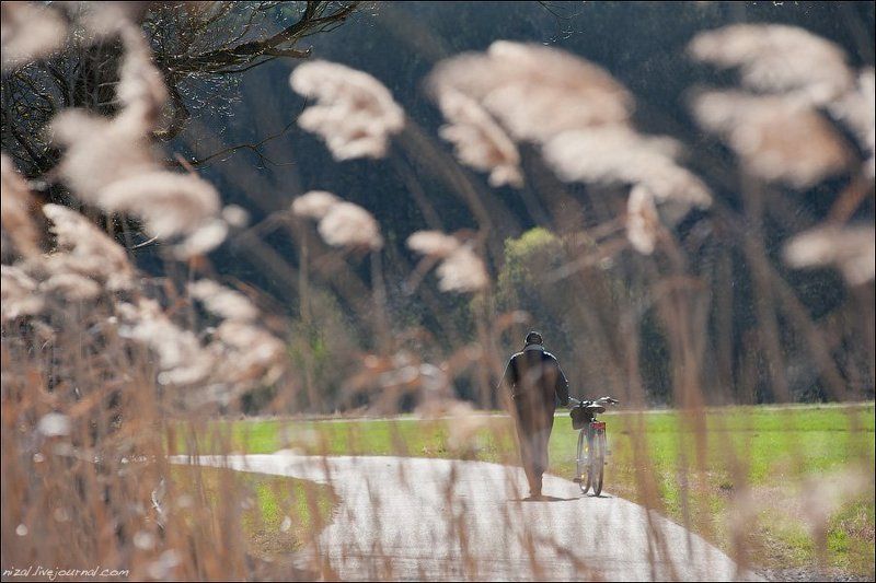 Зарисовки из жизни немцевphoto preview