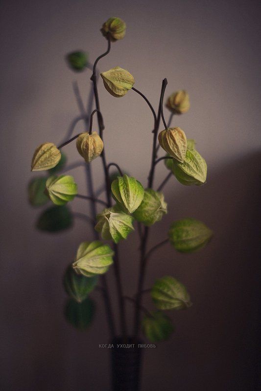 Когда уходит любовьphoto preview