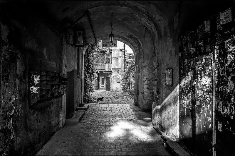 фото фото превью