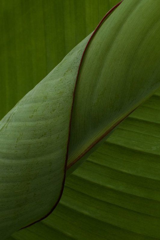 untitled#** фото превью