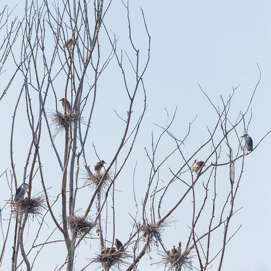 Детский сад. Автор: Васил Анастасовски , Васил Анастасовски