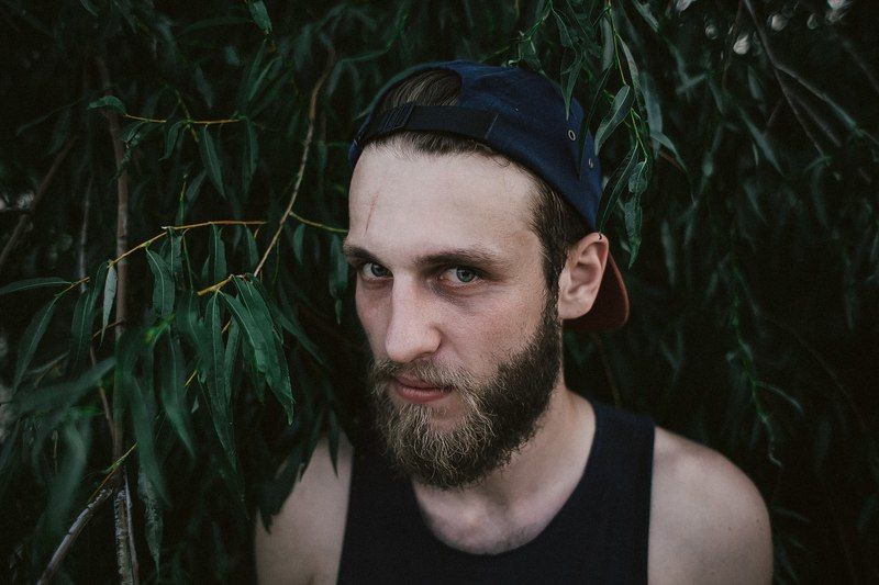 Мистер Бородаphoto preview