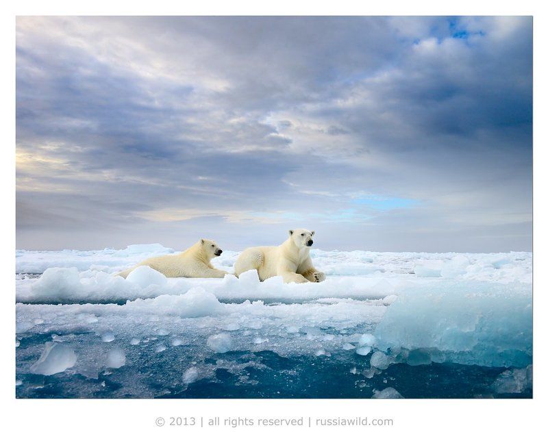 Отдых на льдуphoto preview