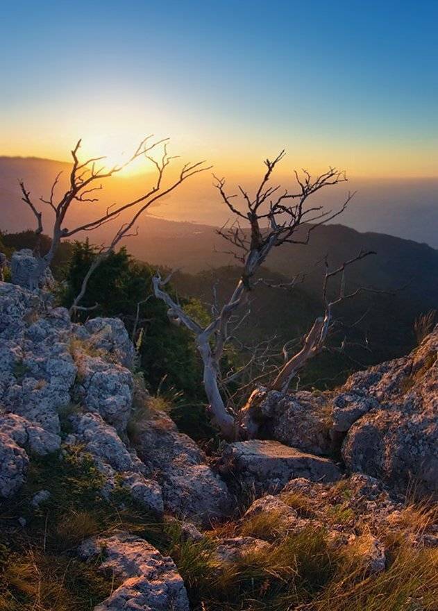 Свет нового дня (репост). Автор: Игорь Мелекесцев , Игорь Мелекесцев