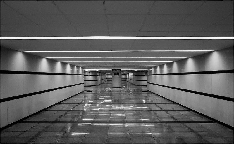 фото фото превью