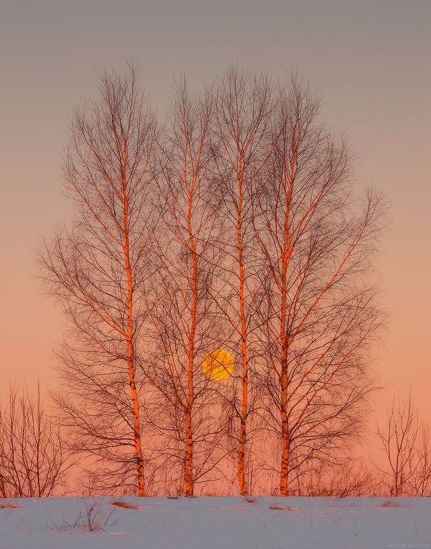 Симметрияphoto preview