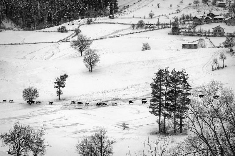 зимняя, история Зимняя историяphoto preview
