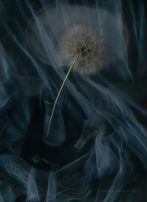 тени*photo preview