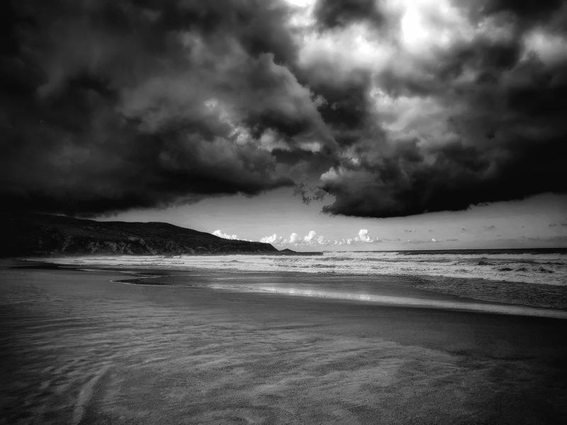 Life in black and whitephoto preview