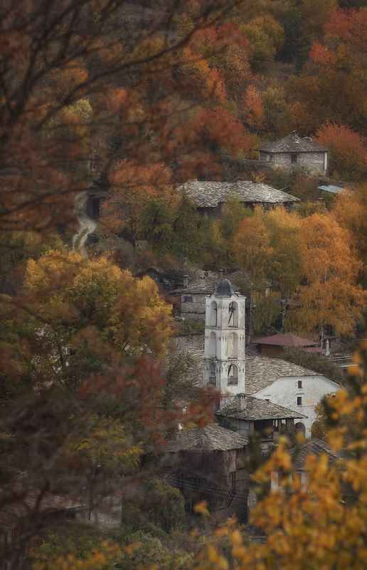 осеньphoto preview