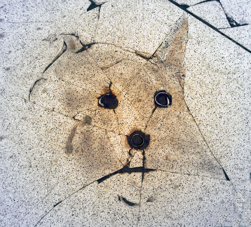 pareidolia ***photo preview