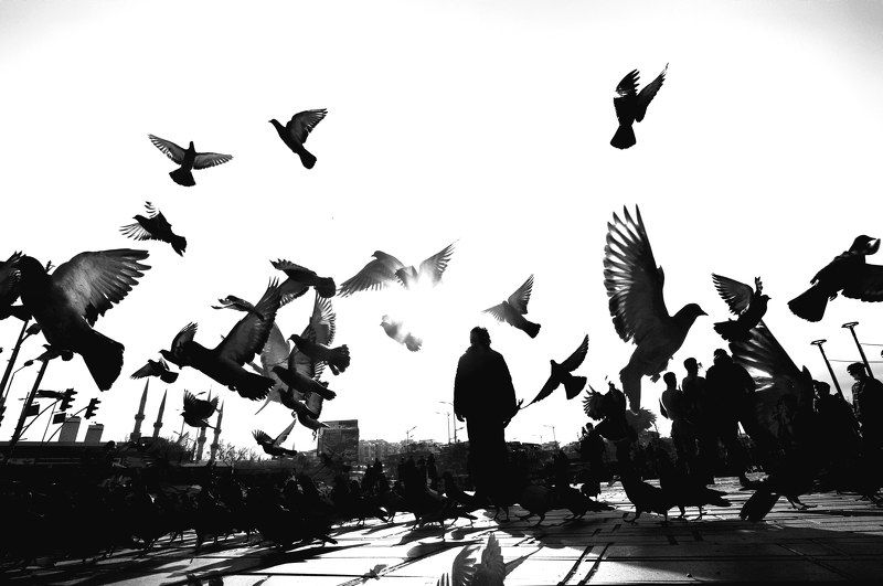 street, bnw Sunny Dayphoto preview