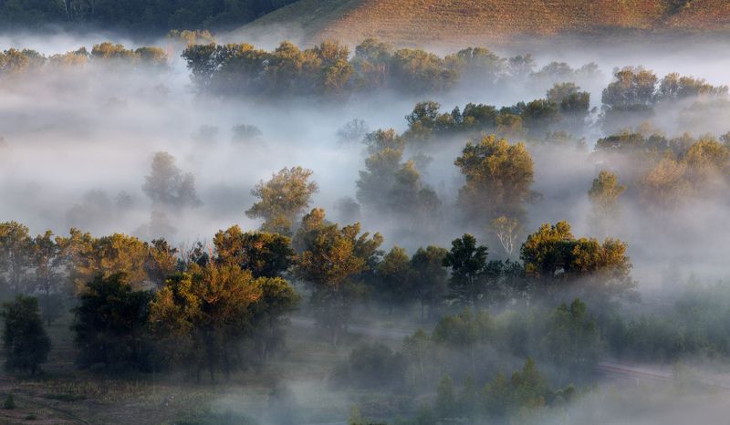 пейзаж,туман, урал, утро,landscape,fog,nature,morning, ural, Туманphoto preview