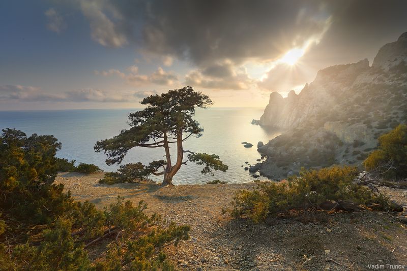 крым, новый свет Вечер в Крыму фото превью