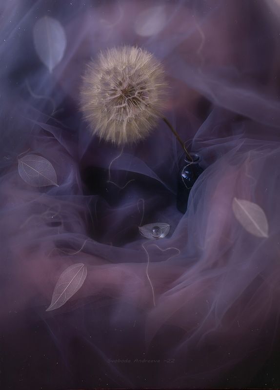 сиреневый плен*photo preview