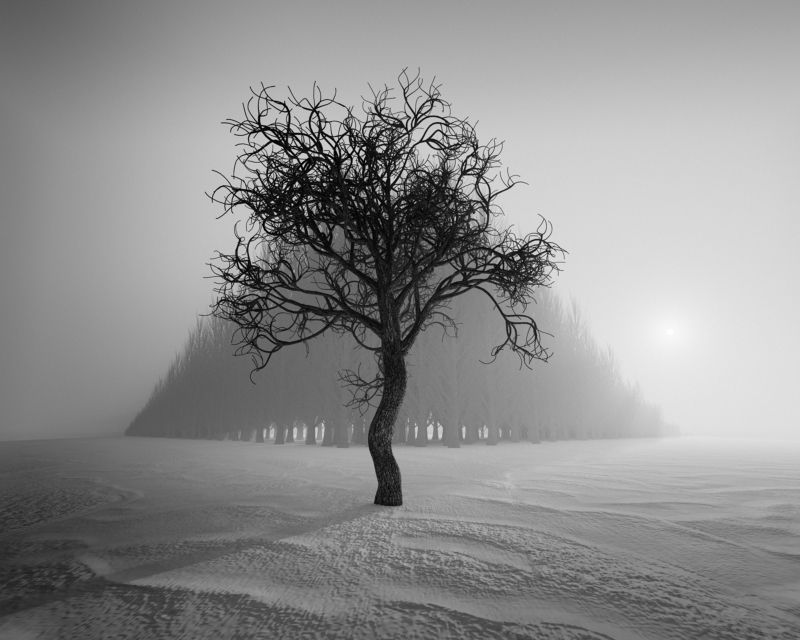 fineart blackandwhite landscape art creative alonephoto preview