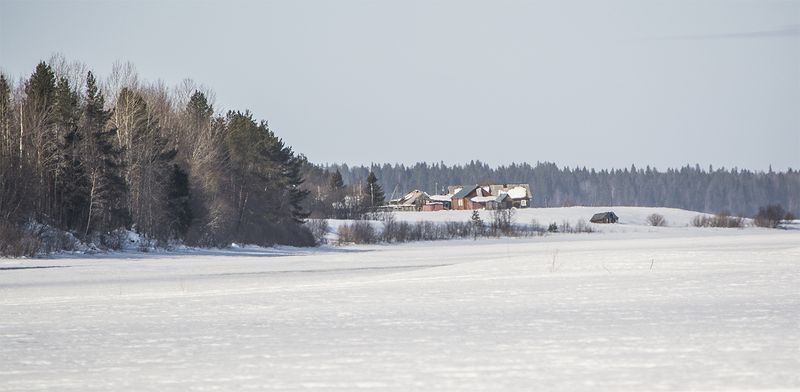 Северная деревня Медведевская.photo preview