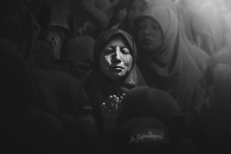 الانسانيةphoto preview