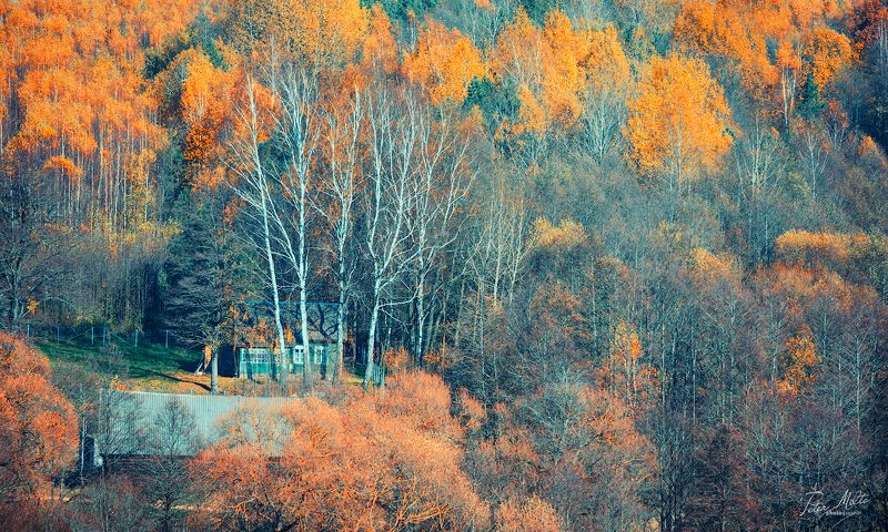 осень фотографминск petermilto belarus nature природабеларуси волмечка Золотая Волмечкаphoto preview