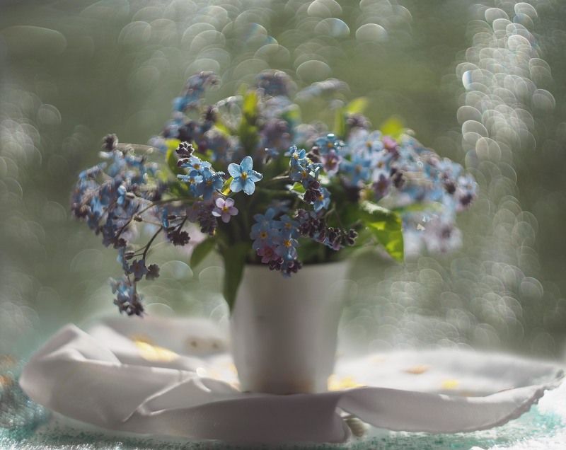 натюрморт, цветы, ваза, свет лучи, солнце, голубой, белый, боке Летнее настроениеphoto preview