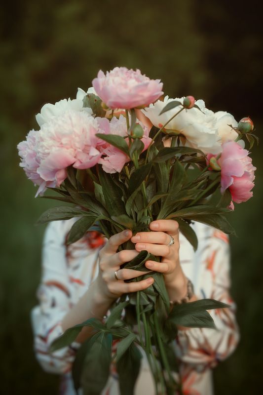 Пионыphoto preview