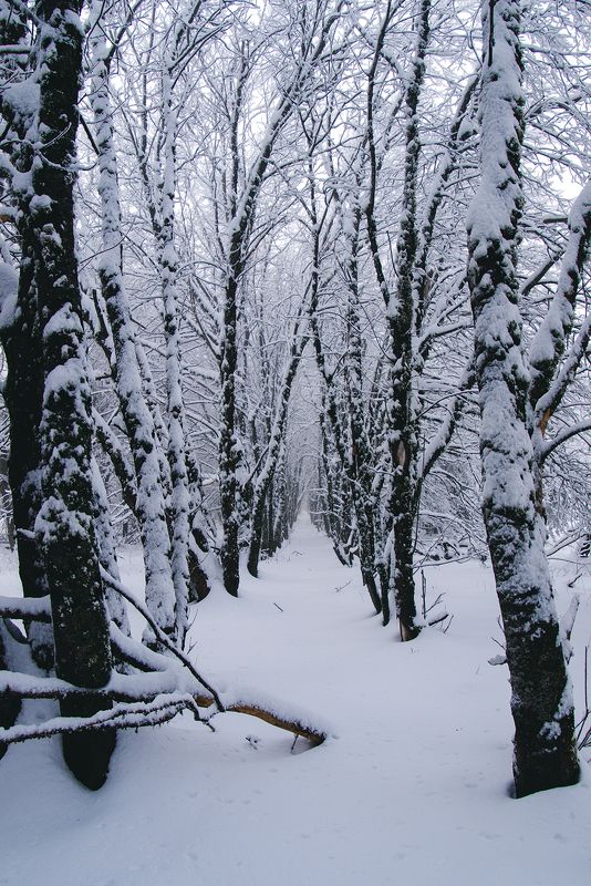 крым ***photo preview