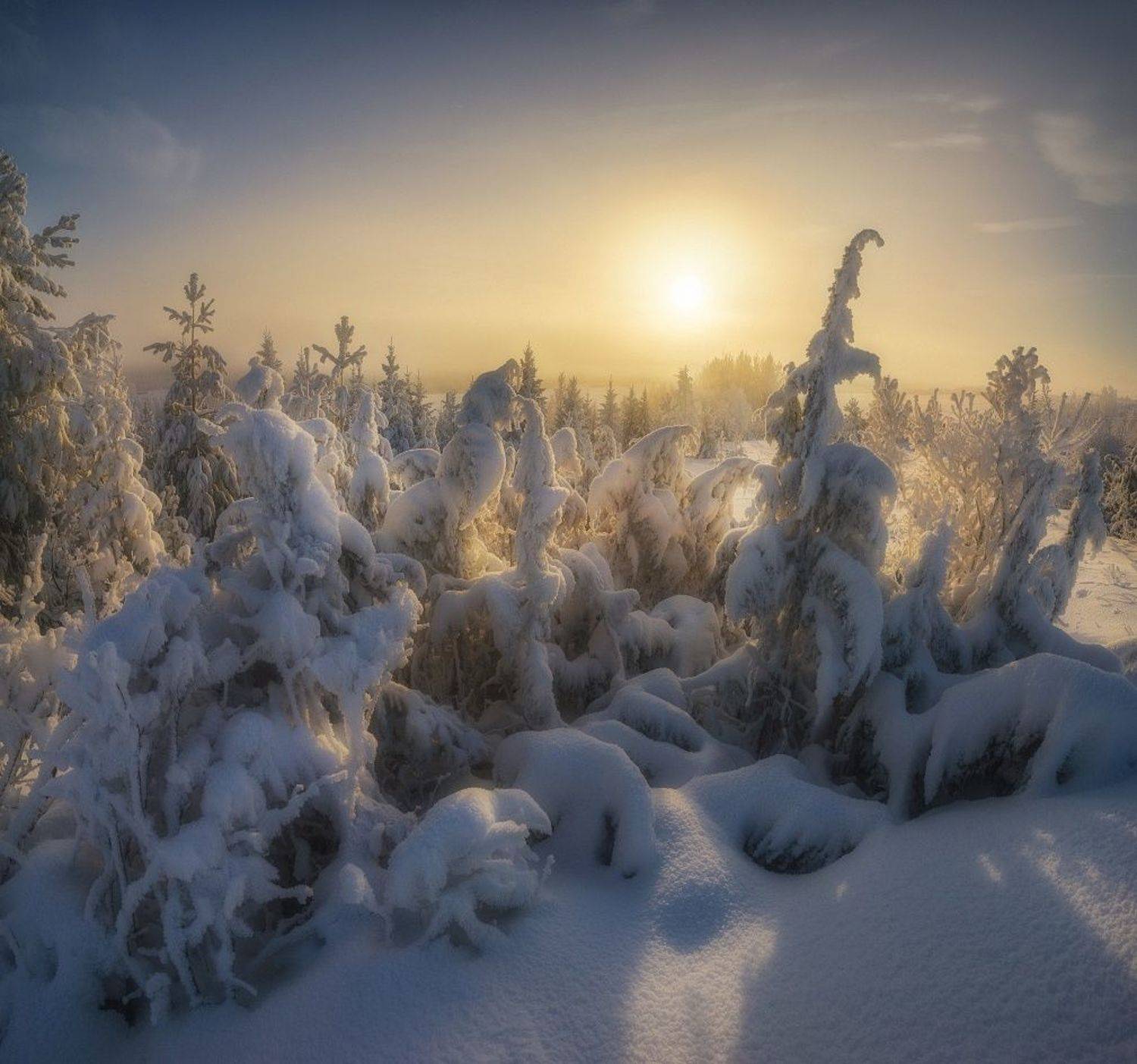 В царстве снега и мороза. Автор: Михаил , Михаил