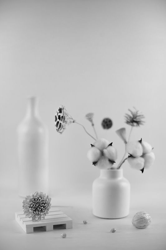 натюрморт, хлопок, лотос, ликвидамбар, сосновая шишка, маргаритка, грецкий орех ***photo preview