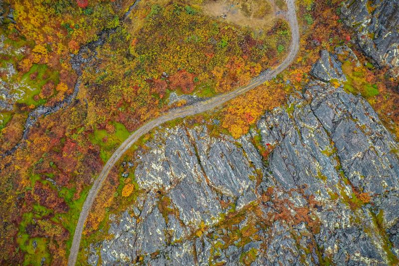 Дороги тундрыphoto preview