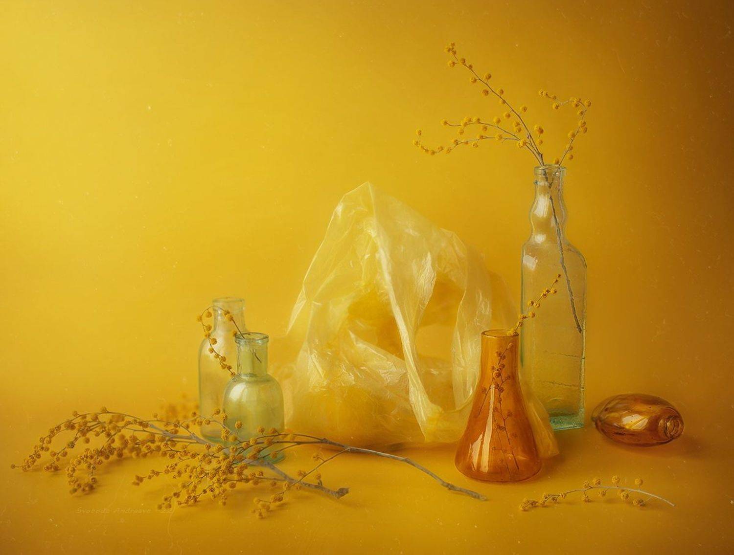 Солнечность*. Автор: Svoboda Andreeva , Svoboda Andreeva