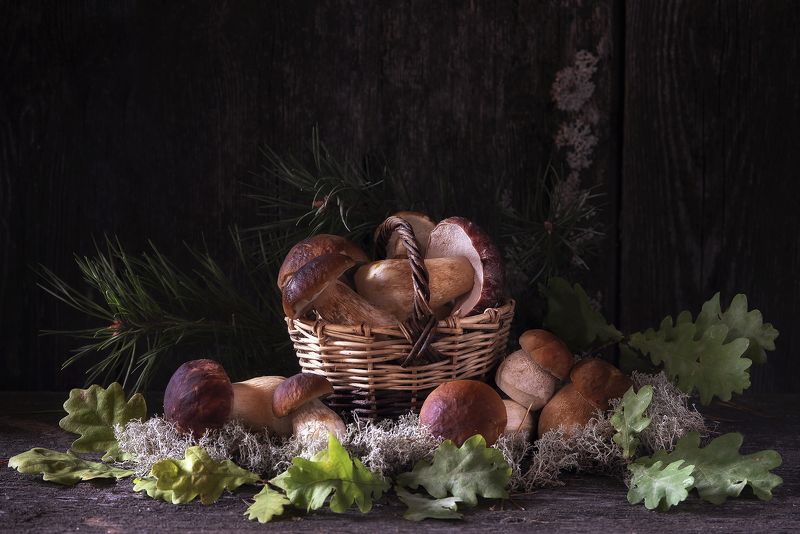 Белые грибыphoto preview