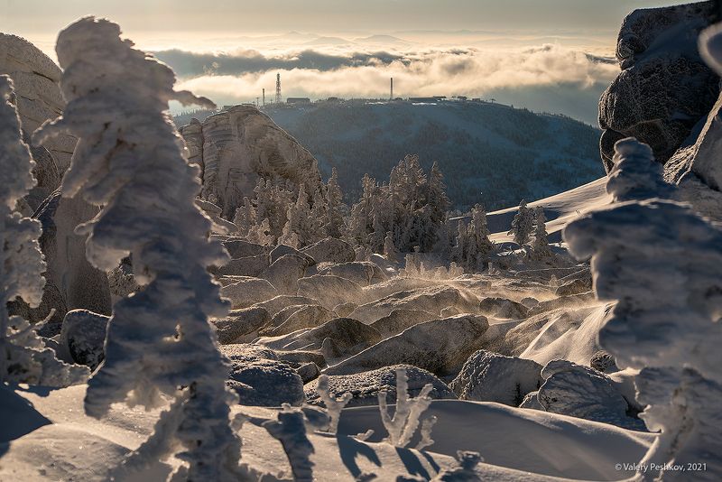 утро, утренний свет, скалы верблюды, ветер, порывы ветра, снежная пыль, кедры, пихты, снег, иней, сугробы, зима, гора курган, шерегеш, горная шория, сибирь Pro порывы ветра фото превью