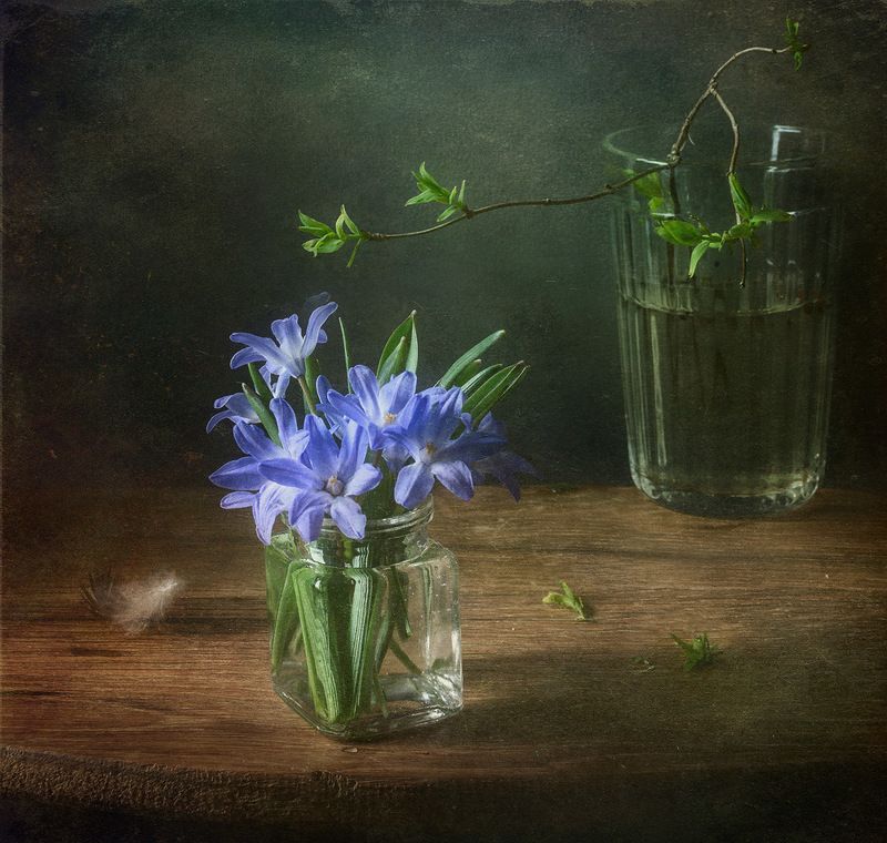 Первые весенние цветы. Хионодокса.photo preview